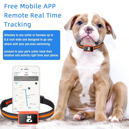 4G GPS-tracker voor honden en katten – waterdichte huisdierlocator met gezondheidsmonitor en stappenteller