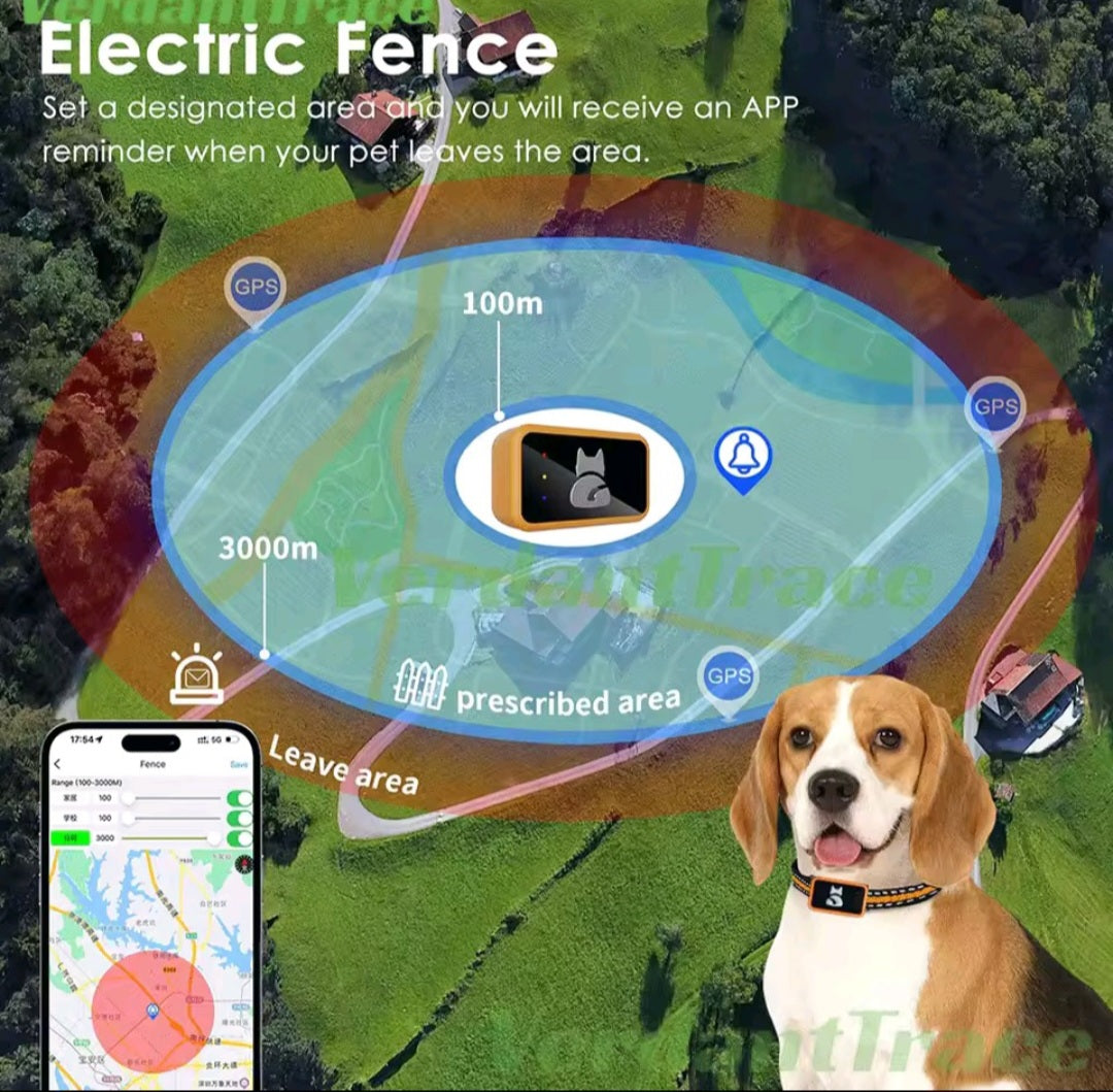 4G GPS-tracker voor honden en katten – waterdichte huisdierlocator met gezondheidsmonitor en stappenteller