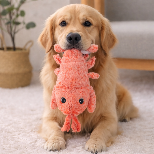 Elektrisch Hond- & Katten Speelgoed – Kreeft met 3 Vibratiemodi (USB Oplaadbaar)